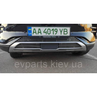 Решетка радиатора с сеткой от насекомых BYD Song Champion 2023-2025