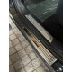 Накладки на пороги BYD Song Champion